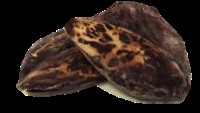 EXCLUSIVO Mini Chocos (Ricos em Taurina, colagénio, condroitina e ómega 3) RAWW NATURE