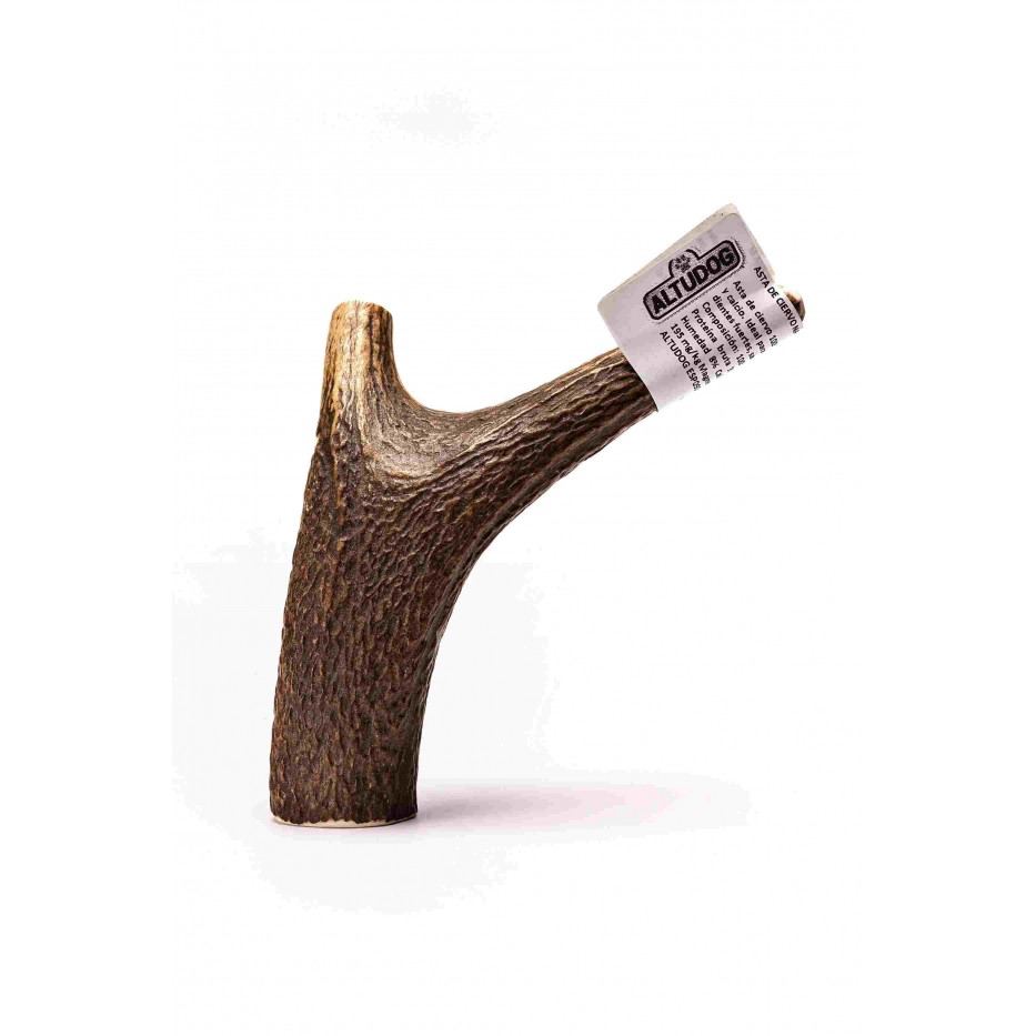 Haste de Veado para Cães (M/L) | Mastigação Prolongada e Higiene Dentária - Imagem 2
